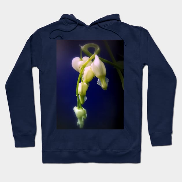 elegant white bleeding hearts, blue #4 Hoodie by DlmtleArt